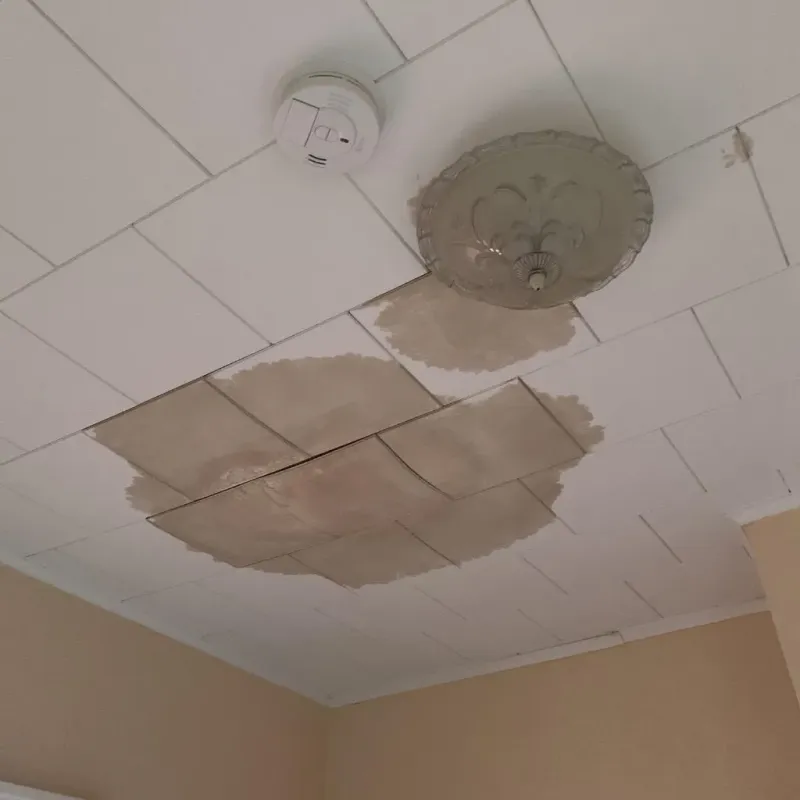 Ceiling Water Damage Repair in Sawyer County, WI