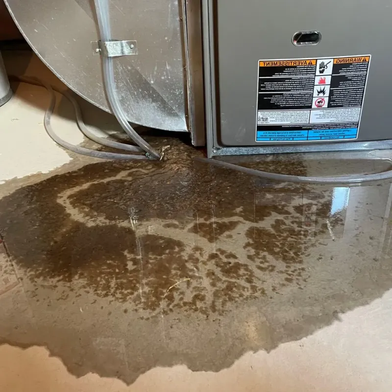 Pipe Burst and Leak Restoration in Sawyer County, WI