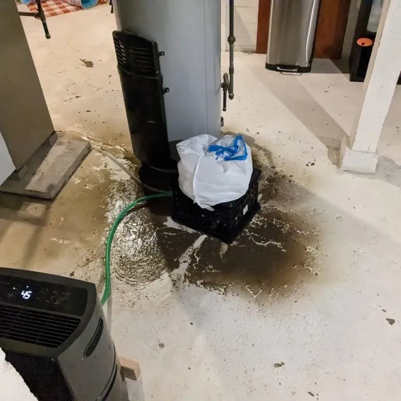Sewage Backup Cleanup Service in Sawyer County, WI